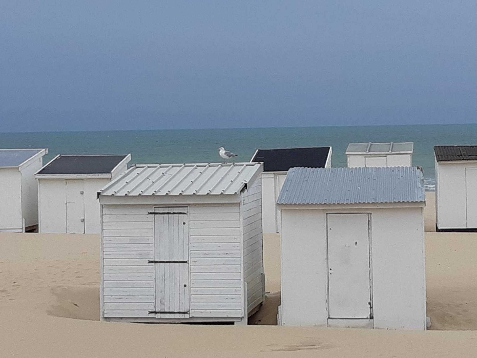 Calais Plage - Magnifique Studio - Front De Mer Kültér fotó
